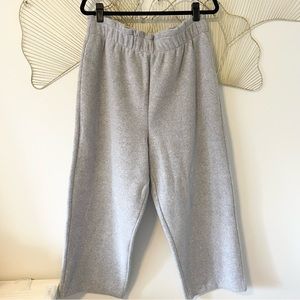 Aritzia The Group by Babaton Powell Pant